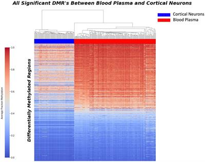 Detection of neuron-derived cfDNA in blood plasma: a new diagnostic approach for neurodegenerative conditions